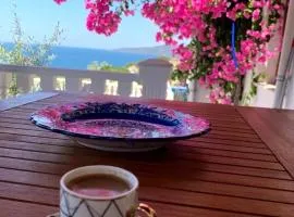Sevinc Papatya House