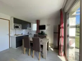 Maison duplex avec clim, 2 piscines, terrasse, parking, animaux admis - 8 pers. - FR-1-382-165