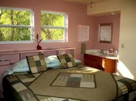 Pet-Friendly Cottage on Buchanan Lake near Marble Falls, Texas