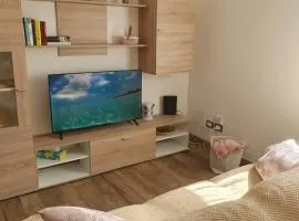 Apartment A&D Home Imola Centro