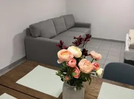 Ruhige, gemütliche Wohnung, 2 Betten