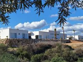 El Olivo