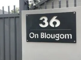 36 On Blougom