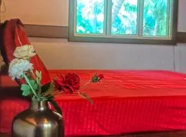 Wood House Near Isha And Karunya University by Shivalaya