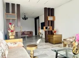 Luxueux appartement centre ville wifi 200 Mo