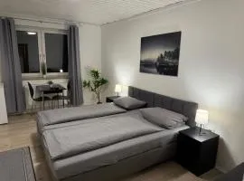 Pension Engin