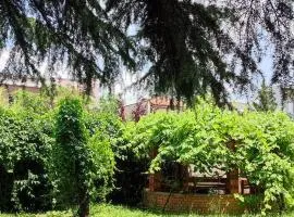 Central Apartment with Garden