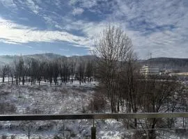 Flow Spot - Apartament z Widokiem na Szyndzielnię