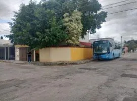 hermosa residencia tres recamaras independientes con siete camas matrimoniales hamacas piscina bar terrazas árboles excelente ubicación totalmente bardeada