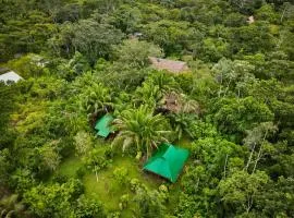 Tronco Tambopata Adventure