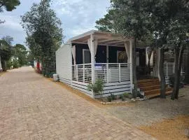 Mobile Home Sea Fairy, Biograd na moru