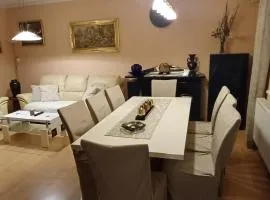 Comfort Apartment