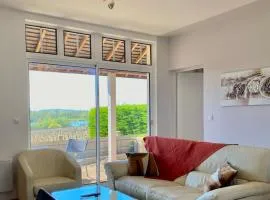 L'Espérance vue sur la Loire et la vigne 2