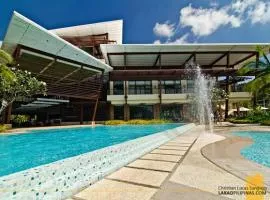 Pico de loro Carola B