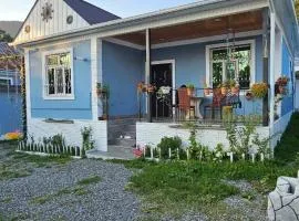 New Blue Villa VFA