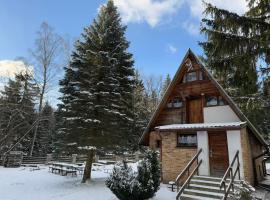 Bac&oacute;wka w Karkonoszach - Domek na wyłączność w Karpaczu blisko wyciągu i szlak&oacute;w, vila v Karpaczi