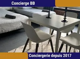 VS - Centre-Ville Grand Studio 2 Personnes