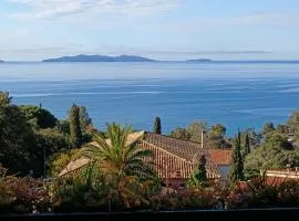 Apartment with terraces in Rayol-Canadel-sur-Mer