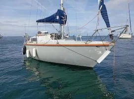 Charmant Logement sur l'eau - Bateau Cosy à Nantes