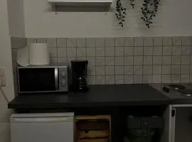 Apartment Plini