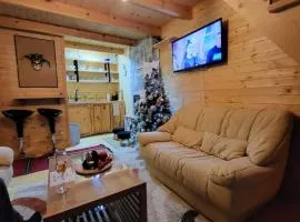 Weekend house Lokve - Modern