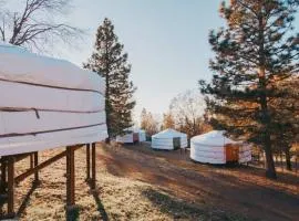 Mongolian yurt at a nature retreat