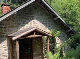 Woodland Cottage