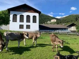 Farm apartment in Stelvio National Park