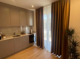 Hotel Swiss Bellevue Oberwangen，Oberwangen的飯店