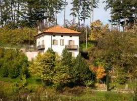 Casa Maia