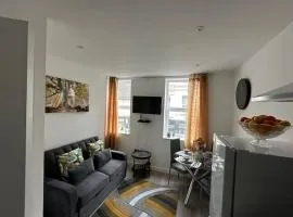 Luxurious 2 - Bedroom Apartment