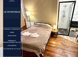 Le NYMPHEAS - Centre ville - Cosy