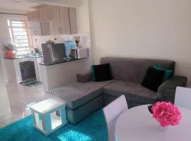 Udaya homes