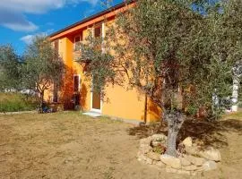Carmen House