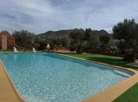 Olivares Rural