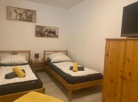 2 Zimmer Apartment, Küche u Terrasse in Freiburg