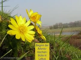 Ferienhaus Lebuser Land für bis zu 4 Personen mit 1300 qm Garten und Privatsauna, grandiosen Blick über die Oder, sonntags late check out bis 18 Uhr inklusive