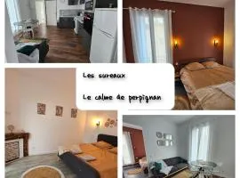 Les sureaux, le charme du centre de perpignan