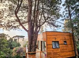 Casa da Árvore - ManTeQuiero