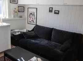 Cozy studio apartment