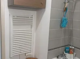 Magnifique T3 spacieux au calme à Castelnau Le Lez