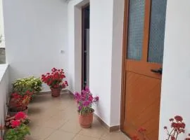 Rooms for rent