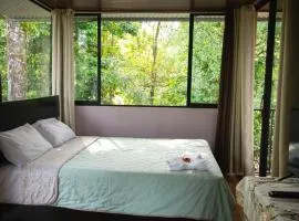 Chiri's Cabin