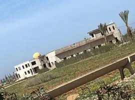 Palmera dar Zahra