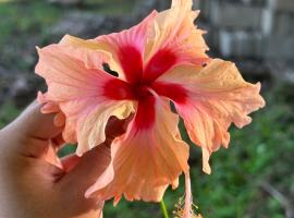 Silver Sand Hostel, hostel in Placencia