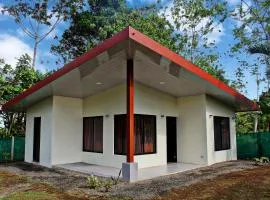 Casa Lopez - Modern house in a natural setting