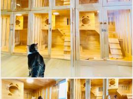 Cat Hotel Hatyai by Krissana Mansion cat only, hotel i Hat Yai
