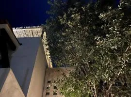 Casa Colibri Oaxaca con Jacuzzi en Terraza