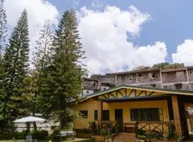 Baguio City Cabin House