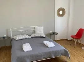 Central Apartment